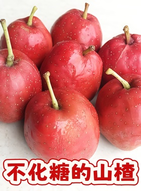 【大五棱山楂极速发货】京东包邮产地直发品质有保证常年供应山楂