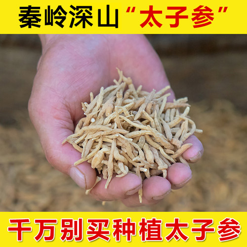 正宗药材秦岭深山无硫太子参
