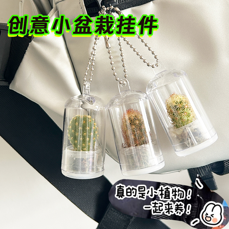 包包笔袋绿植挂件装饰品上的创意小盆栽迷你多肉植物微缩观钥匙扣