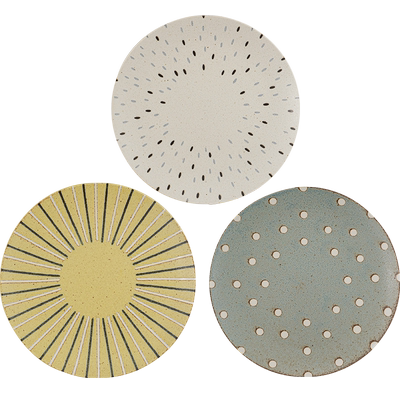 美浓烧动物斑纹9.5英寸大盘