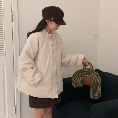 eter90白鸭绒立领羽绒服保暖加厚2025冬装新款设计感韩货hemp外套