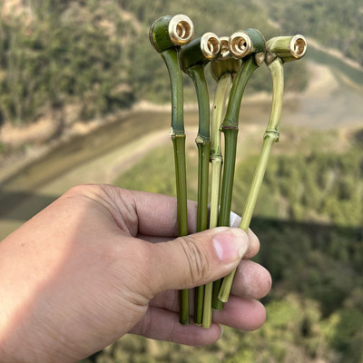 烟斗楠竹烟杆黄铜烟嘴竹旱烟袋