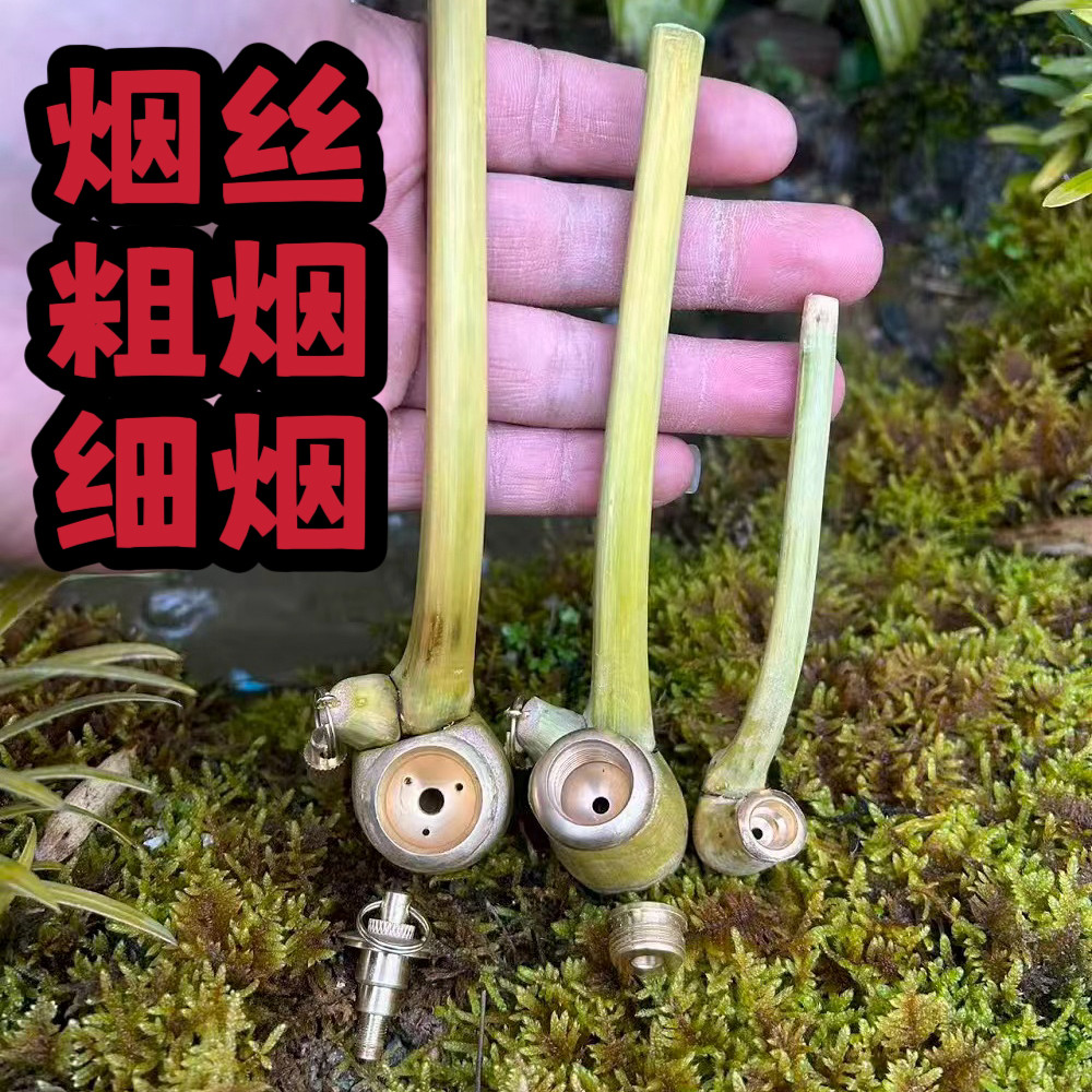 天然楠竹一体成型文玩自制烟斗