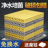 细菌屋过滤材料鱼缸硝化菌纳米整箱水族培菌底滤棉鱼池生化陶瓷环