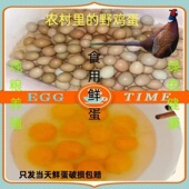 四川食用农家散养野鸡蛋月子蛋山鸡蛋营养粮食土鸡早餐蛋新鲜 包邮