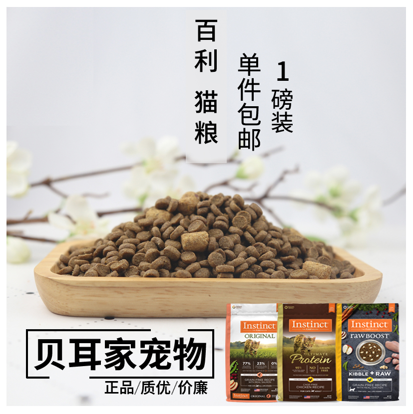 贝耳家试吃百利高蛋白幼猫