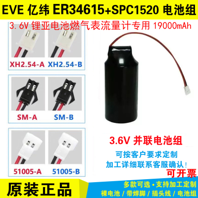 EVE亿纬锂能水表电池组合ER34615+SPC1520 1550ER265001850514505