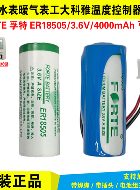 FORTE孚特ER18505锂电池3.6V暖气表热能表温度器工大科雅温控制器