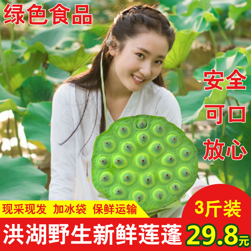 莲蓬新鲜生莲子莲蓬头即食野生甜嫩莲蓬子孕妇水果现摘湖北特产