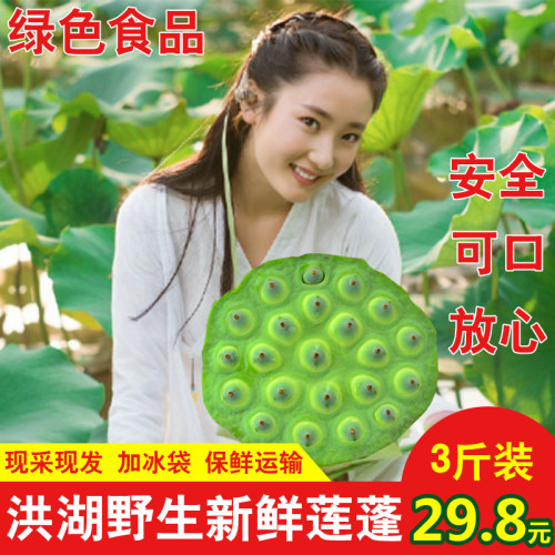 莲蓬新鲜莲子米嫩甜孕妇水果
