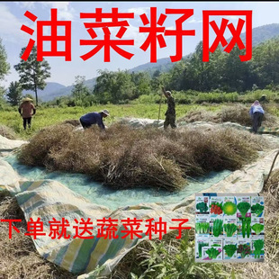 打菜籽神器筛菜籽网收油菜籽的工具专用布家用过滤网晒油菜籽渔网