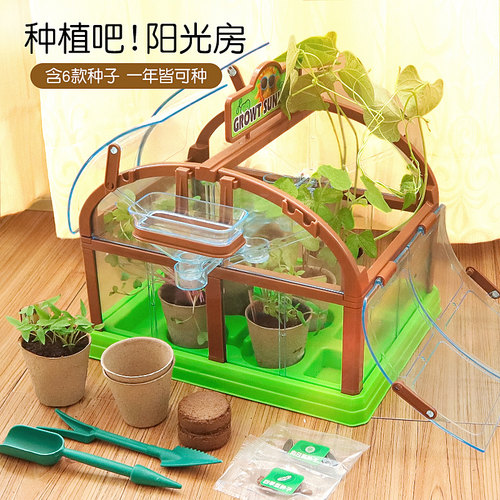 儿童种植阳光房玩具科学实验diy