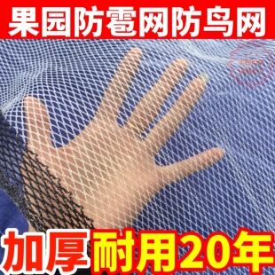 防雹网果园防鸟网葡萄网农用防护网果树防冰雹网神器果园防冰雹网