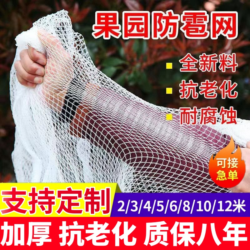 防雹网果园防冰雹网防鸟网防护网