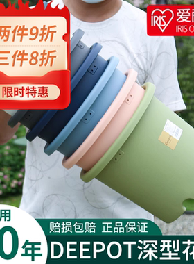 爱丽丝爱丽思深型月季铁线莲花盆
