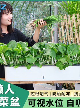 自吸水懒人长方形种菜神器家庭专用箱花盆阳台蔬菜种植箱草莓家用