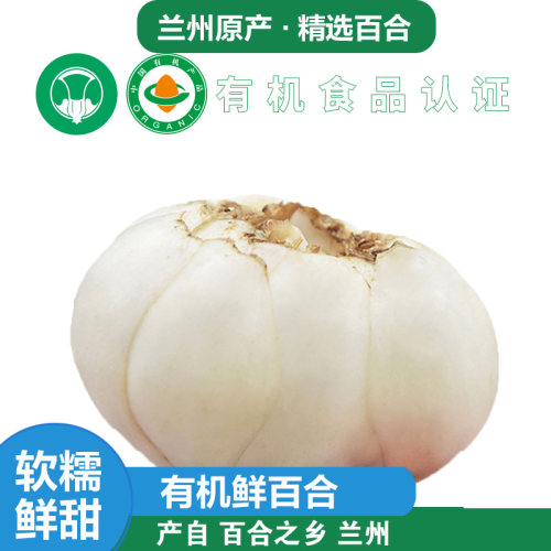 金德有机兰州新鲜百合