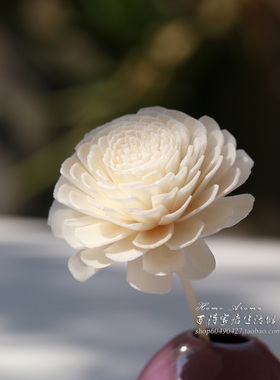 满包邮无火藤条香薰花通草花配摆件藤枝香熏藤条藤球枝木干花