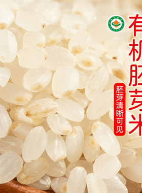 有机胚芽米1kg 2025年新米东北有机胚芽米小包装农家胚芽大米