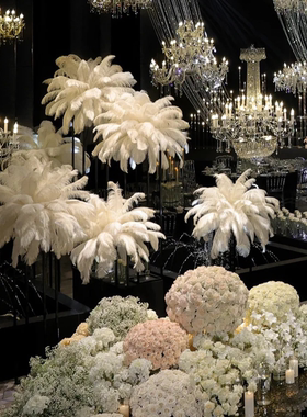 35-40cm鸵鸟彩色大羽毛白色婚庆路引拍照道具摆件网红墙装饰DIY