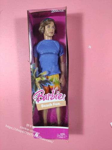 预 Barbie Beach Fun Blaine 2005 正品绝版沙滩芭比肯娃娃