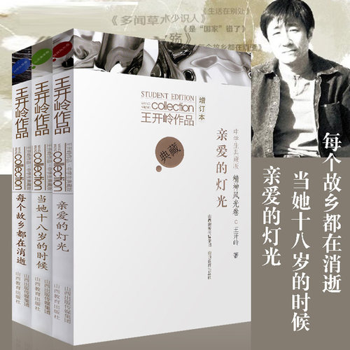 王开岭作品三册 中学生典藏版 正版 每个故乡都在消逝 亲爱的灯光 当她十八岁的时候 铁凝赵丽宏散文集 课外青少年文学阅读