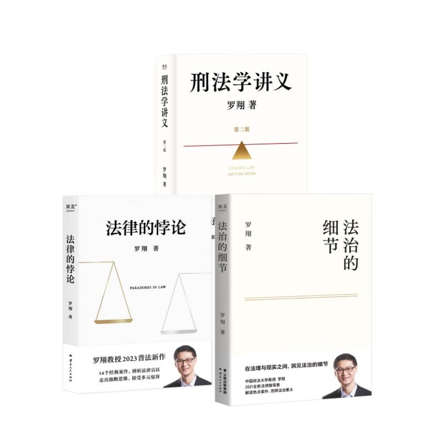 刑法学讲义+法治的细节+法律的悖论(套装3册) 罗翔讲刑法 法律随笔集 法律通识读物 法律知识科普 案例解析 果麦出品