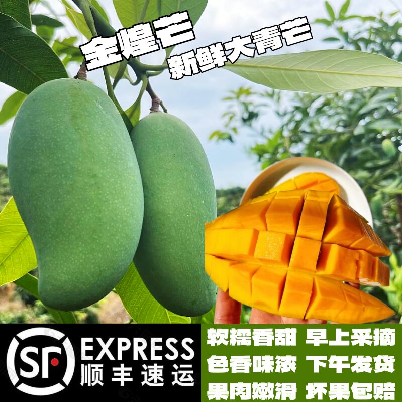 顺丰快递云南元江金煌芒新鲜水果大青芒果软糯甜香甜爆汁整箱包邮