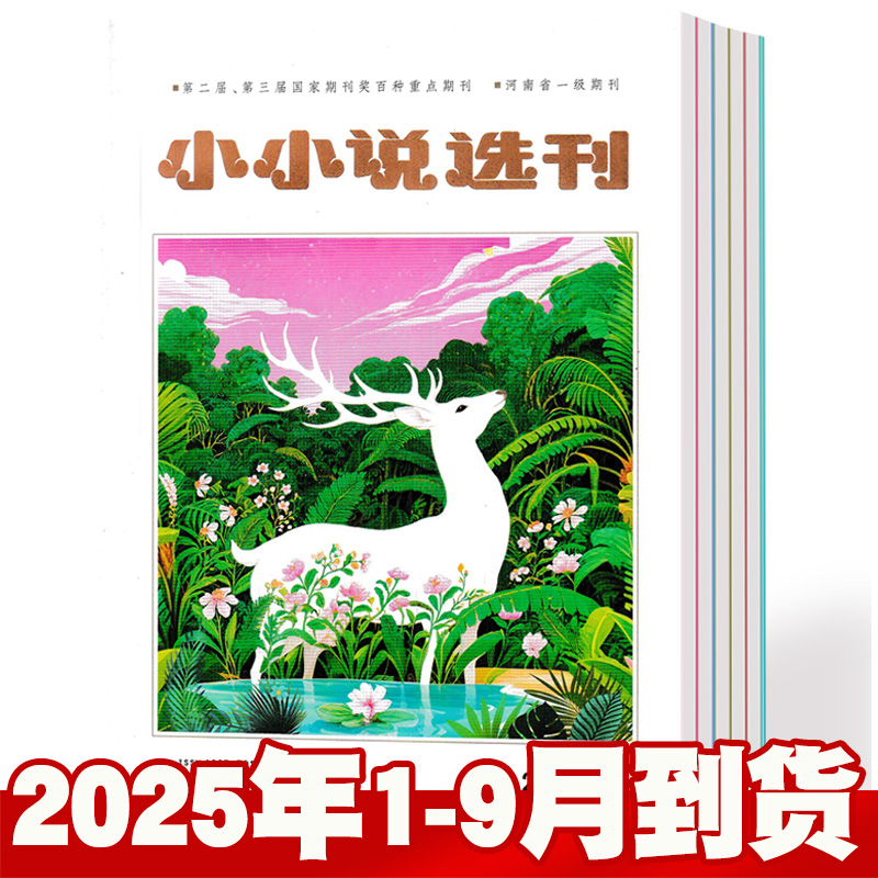 小小说选刊2025年1-9月