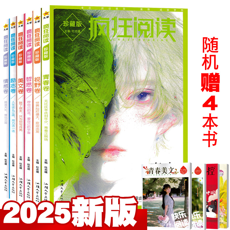 总10本疯狂阅读珍藏版2025全套