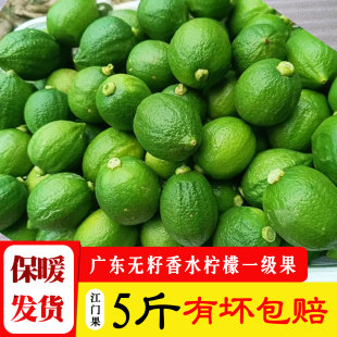 新鲜正宗广东无籽香水柠檬5斤一级小果皮薄绿青柠檬青柠江门水果
