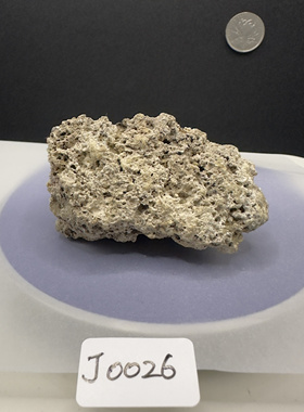 天然灰白龙涎香块状原料调香水线香香薰原料一图一物J0026-19.58g