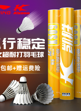 李宁凯胜羽毛球球正品耐打王专业鸭毛鹅防风室外比赛训练12只KS09