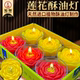 福莲慈光莲花酥油灯胶壳16小时莲花蜡烛供佛蜡烛莲花灯长明灯