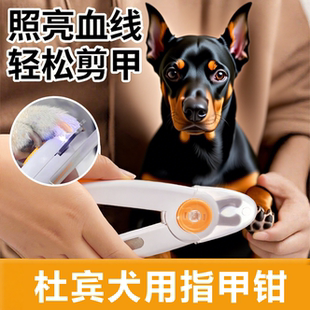 杜宾犬宠物指甲剪新手专用狗狗灯照防溅出指甲刀幼犬打理用品套餐