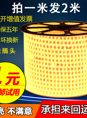 LED灯带2835双排客厅吊顶220v防水户外超高亮5730双排120珠软灯条