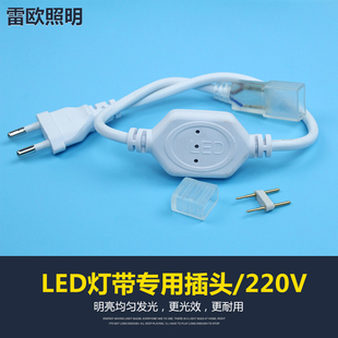 热卖 led防水灯带插头2835高亮软灯条5730光带配件恒流器220V电压