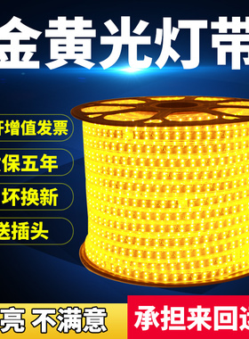 2835双排金黄光灯带220v超高亮 客厅吊顶暖黄色led光带户外防水灯