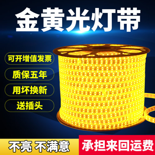 2835双排金黄光灯带客厅吊顶户外