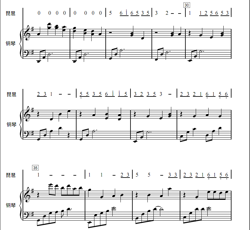 赵聪 浏阳河 伴奏 琵琶伴奏 另售钢琴与琵琶合奏简谱五线谱 fy