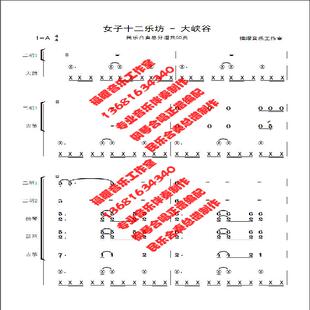 女子十二乐坊 民乐总谱伴奏 情咒 大峡谷 白鸟之湖 地上的星 FY