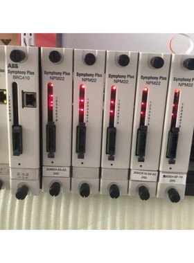 ABB 贝利SPNPM22 NPM22全新原装拍前请询价
