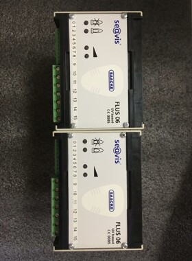 Saacke FLUS 06 火焰探测器拍前请询价