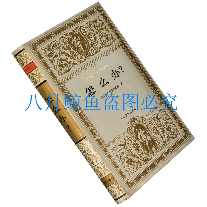 怎么办?车尔尼雪夫斯基世界文学
