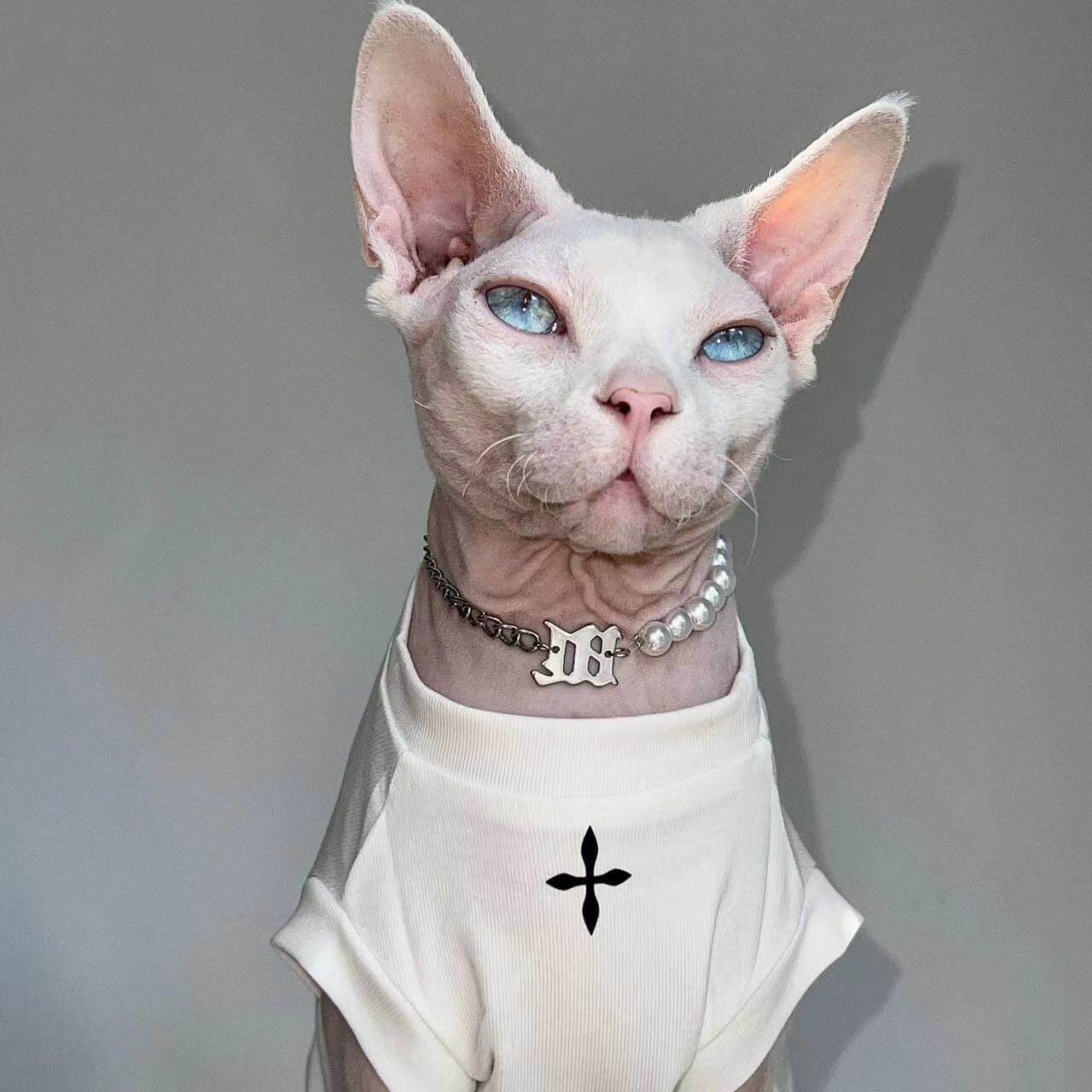 夏季猫咪衣服薄款无袖空调服德文猫宠物服装/雨衣（新