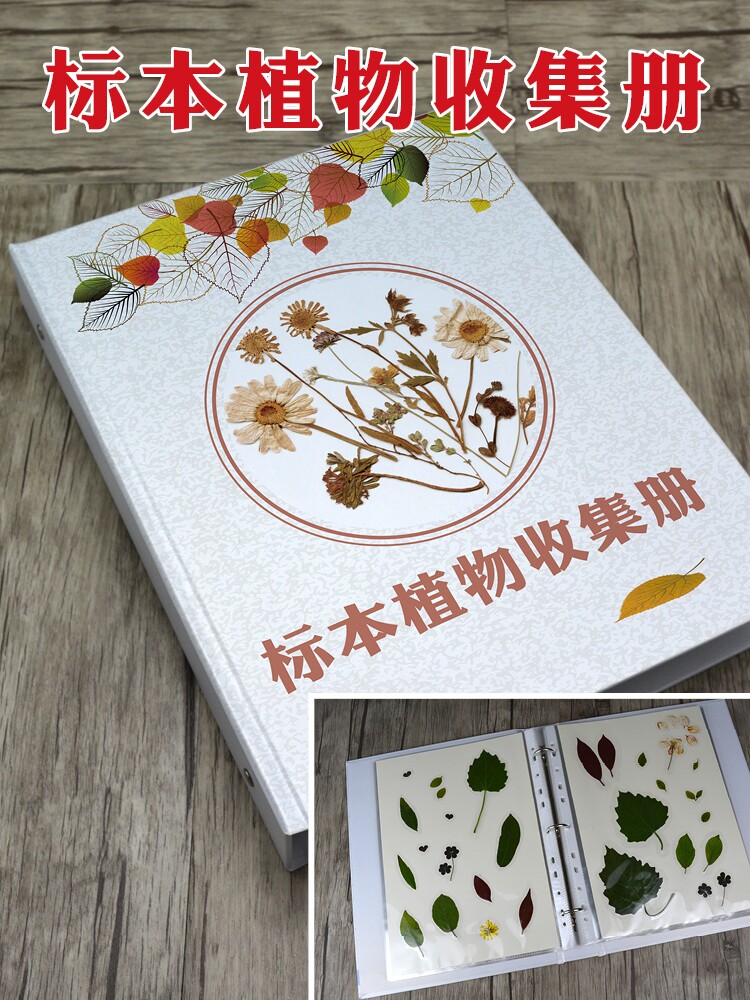식물표본관 플라스틱 필름 잎 표본 제작 양각 사진 앨범 표본 필름 컬렉션 도서 표본 책