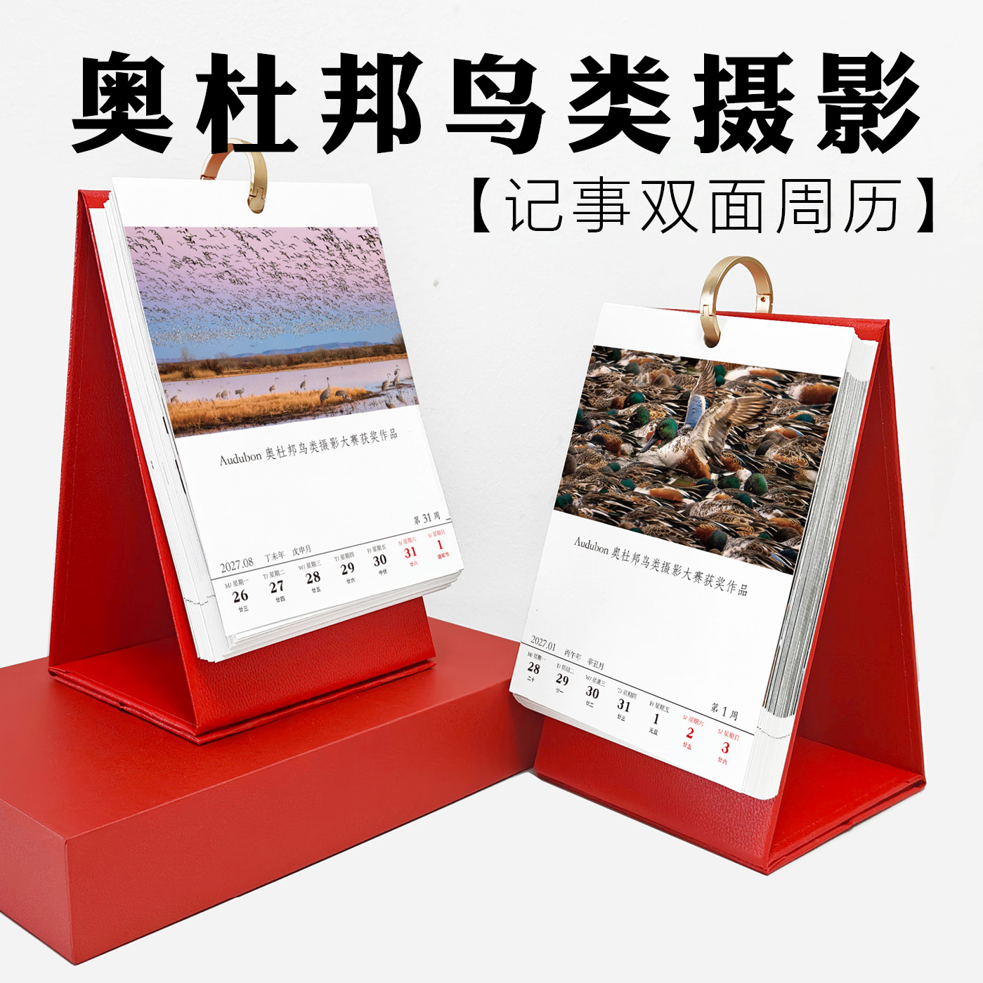 奥杜邦鸟类摄影大赛获奖作品Audubon飞禽动物飞行日历台历2027年