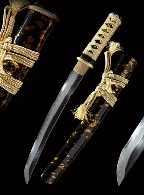 日本刀胁差短刀居合刀手工T10钢