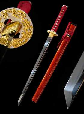 龙泉刀剑日本刀一体直刀忍者武士刃剑唐横刀镜面研磨冷兵器未开刃
