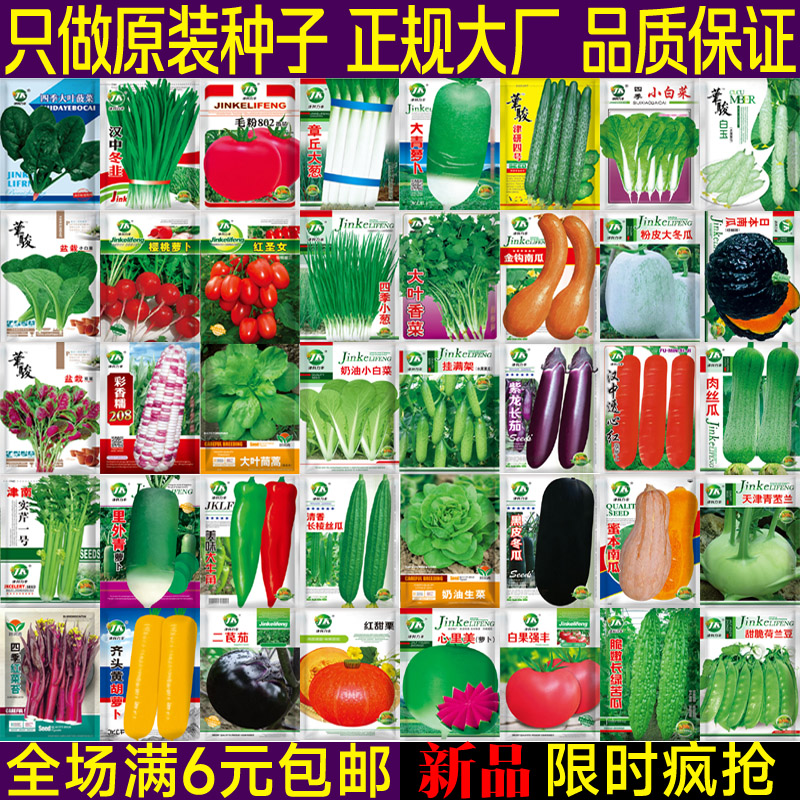 四季种植蔬菜种子大全原厂原装